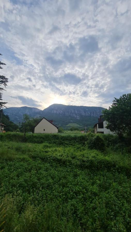 Casa Anne Hotell Băile Herculane Exteriör bild